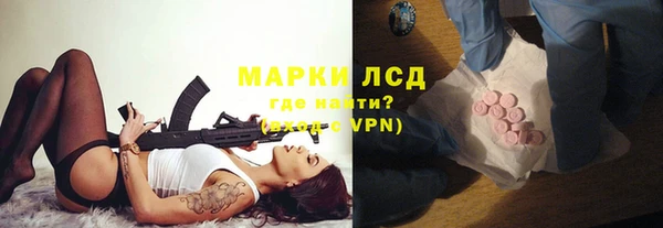 шишки Белоозёрский
