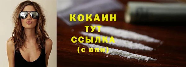 ешки Белокуриха