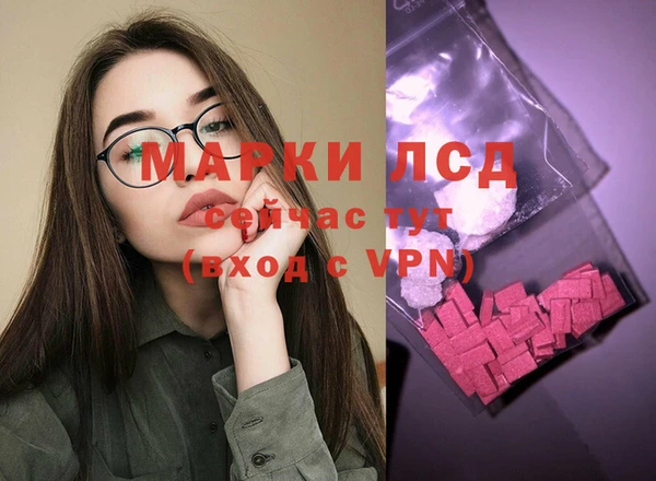 шишки Белоозёрский