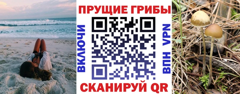 купить наркотики сайты  Еманжелинск  Псилоцибиновые грибы Magic Shrooms 